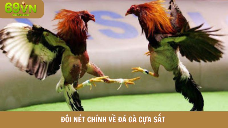 Giới thiệu đôi nét về bộ mô đá gà cựa sắt 